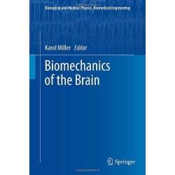 Biomechanics of the brain.jpg
